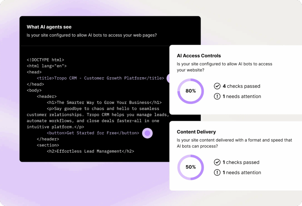 Scrunch AI content delivery tool